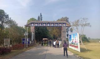 珠海淇澳岛好玩吗 珠海淇澳岛好玩吗